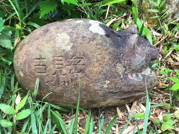 イリオモテヤマネコの石像がお出迎え