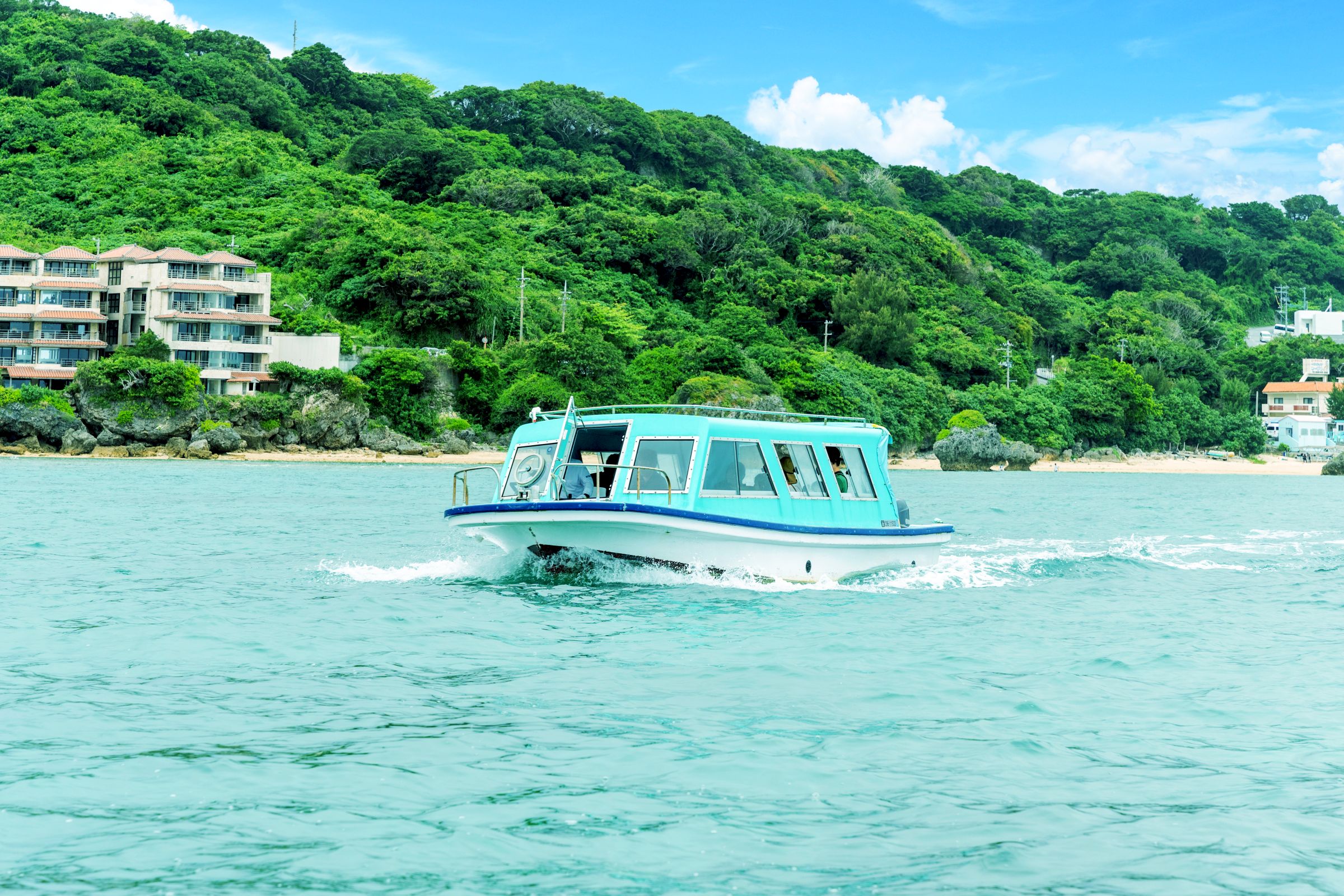 珊瑚の群生を気軽に楽しめるプラン