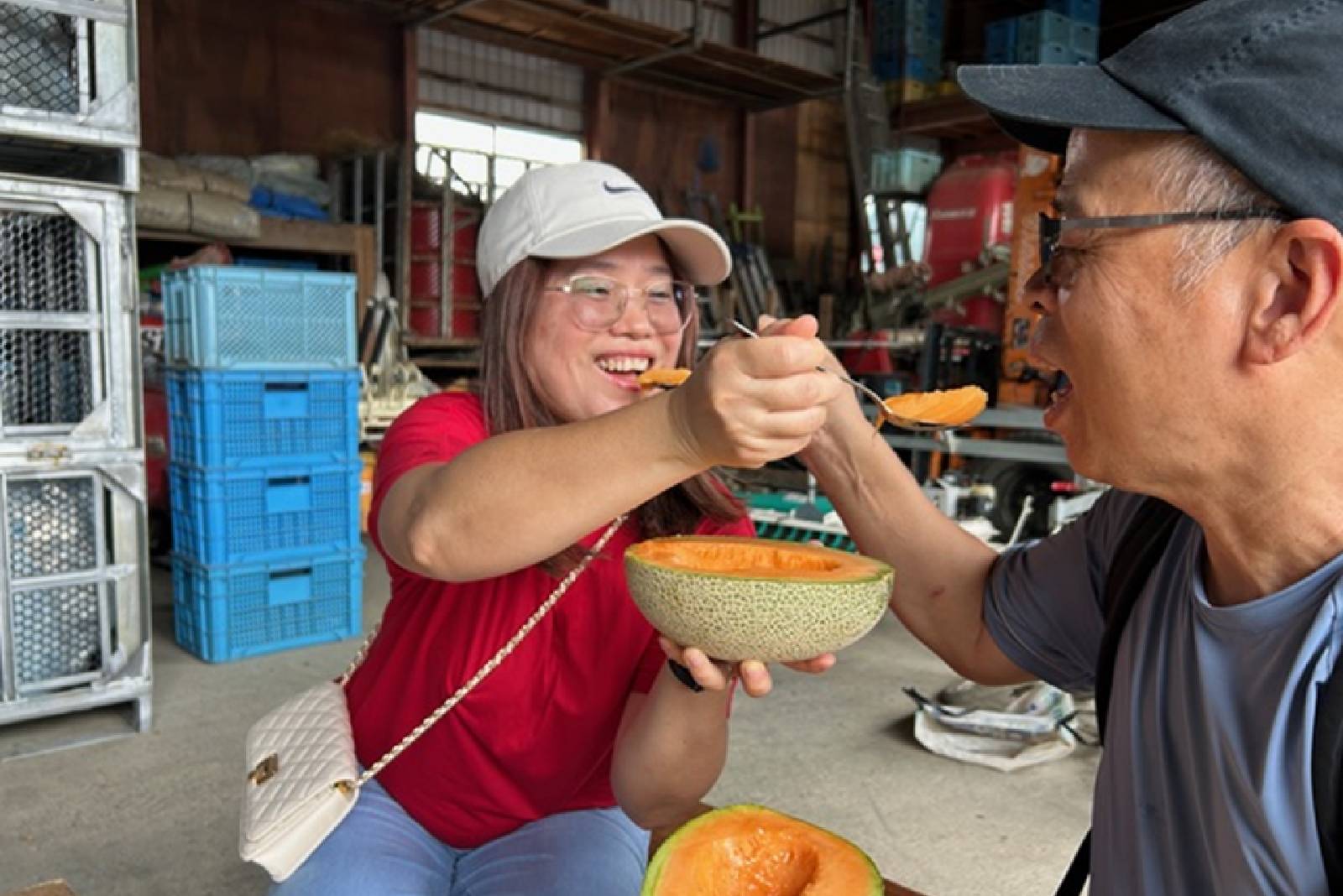 食べ放題に変更も！