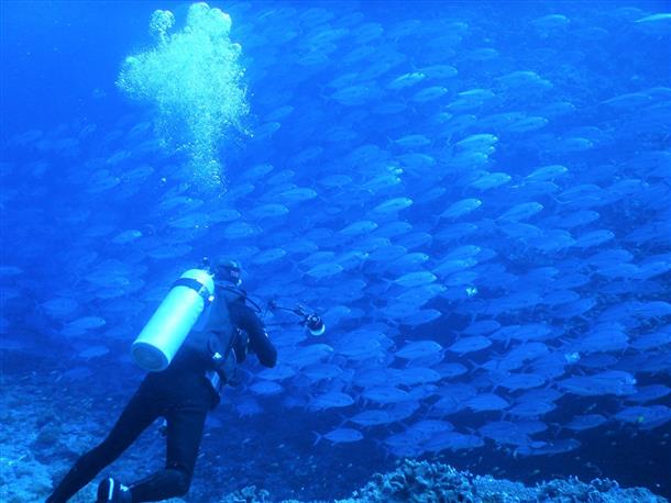激流の場合でも、安心のブイ