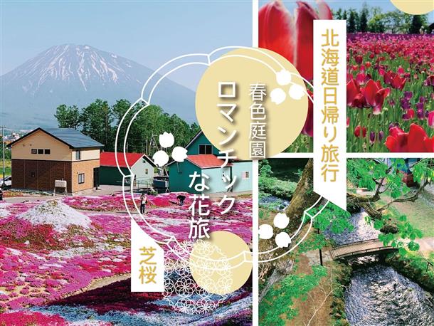 北海道芝桜とチューリップ観賞1日ツアー