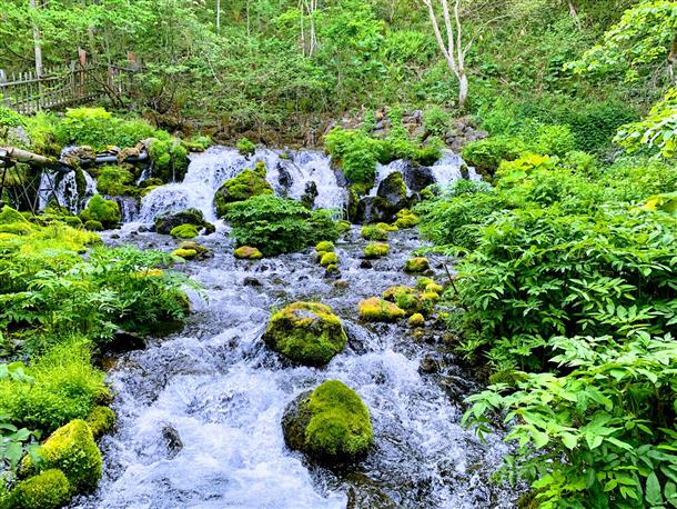 羊蹄山名水公園