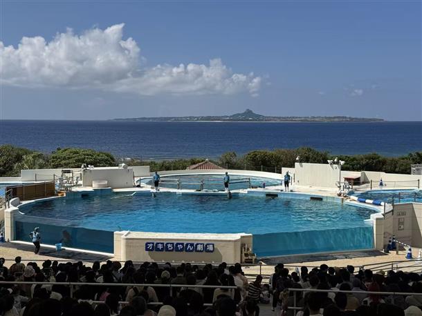 美ら海水族館：イルカショー