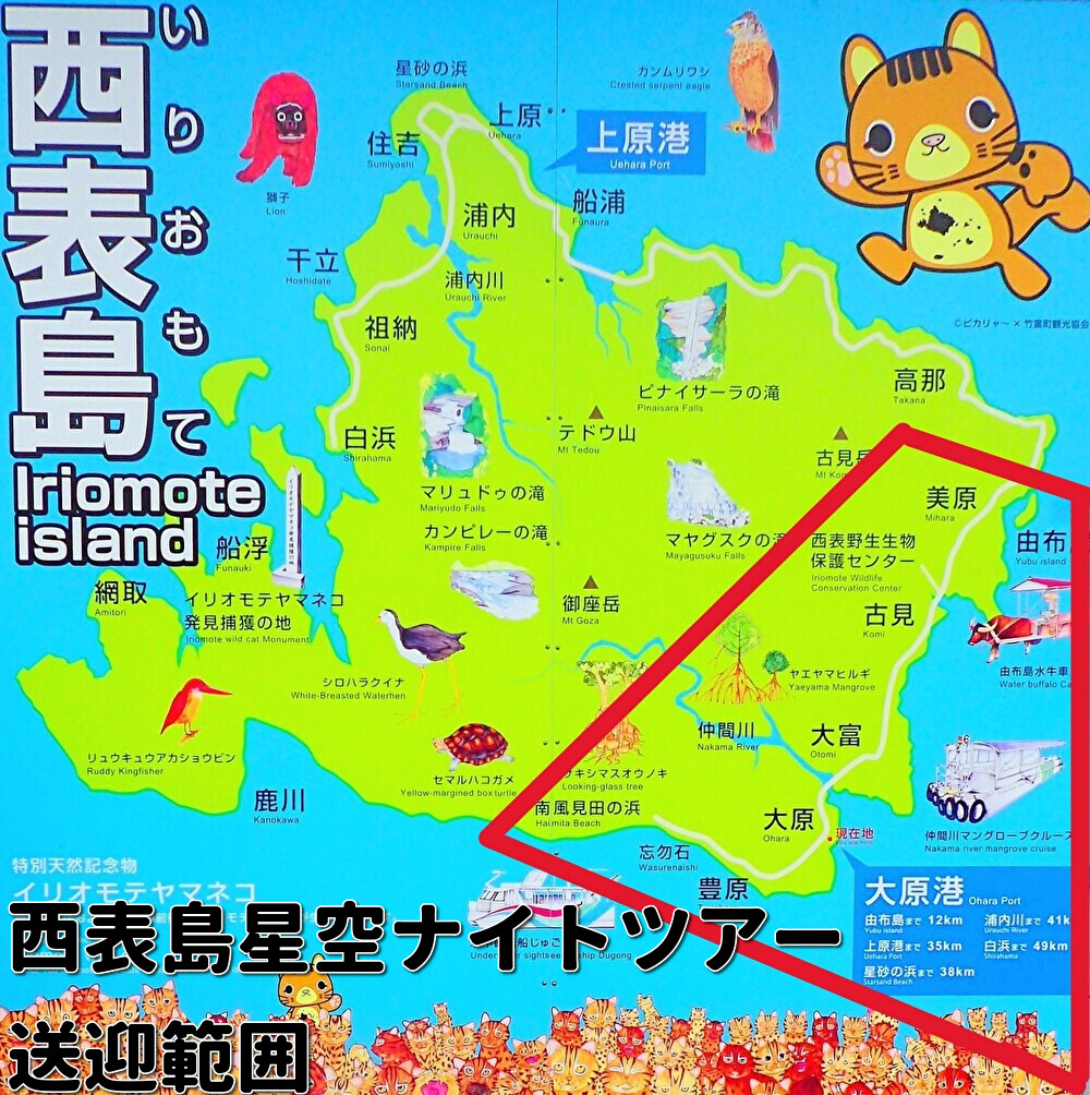 西表島星空ナイトツアー送迎範囲