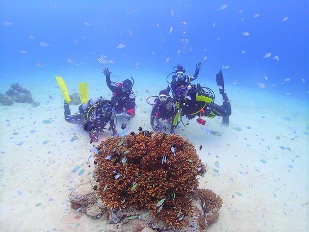 ダイバーが恋した慶良間諸島へご案内