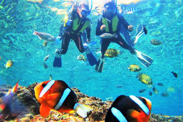 沖縄の海で絶対がっかりさせない心意気