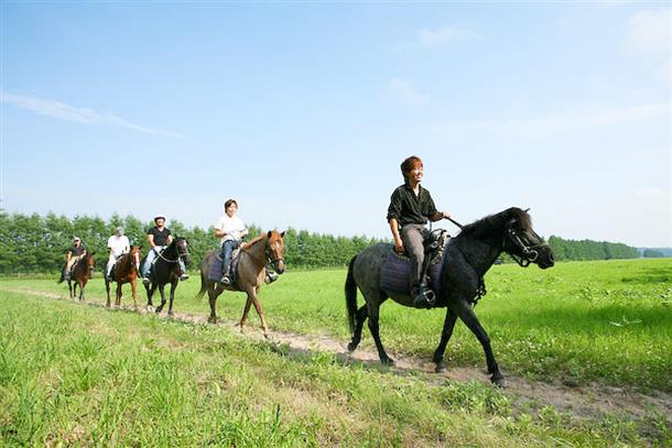 大自然の中を馬とゆく