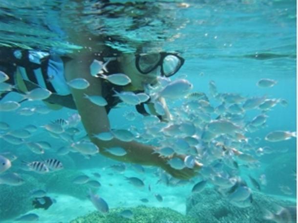 こんなに近くでお魚と触れ合えます★