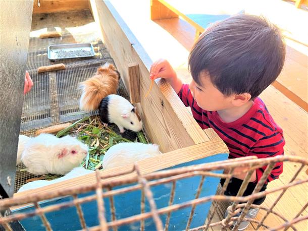 ふれあい広場