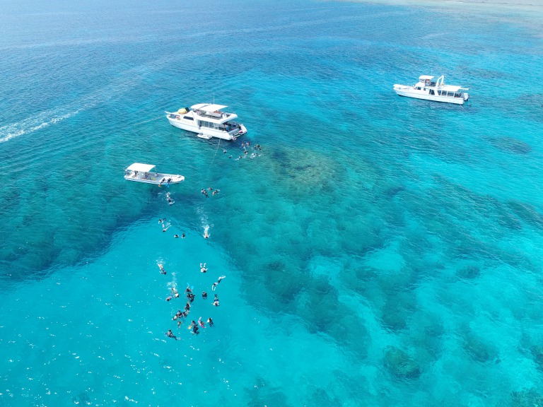 透明度抜群の海