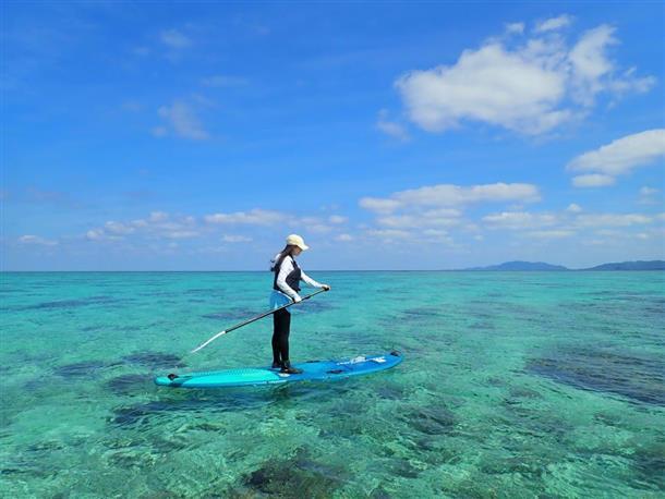 カラフルなサンゴの森の世界を楽しもう♪