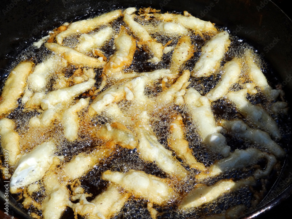 釣れたワカサギは天ぷらで試食 ♪