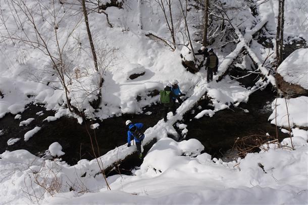 原生林を全身で体感♪