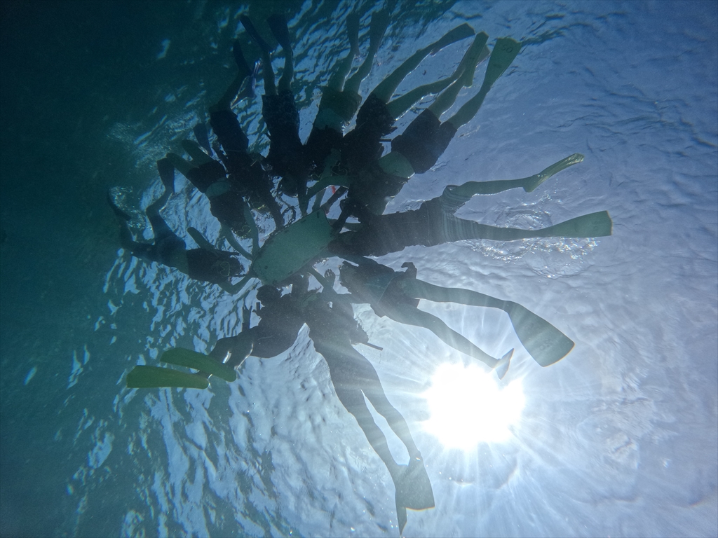 シュノーケリング