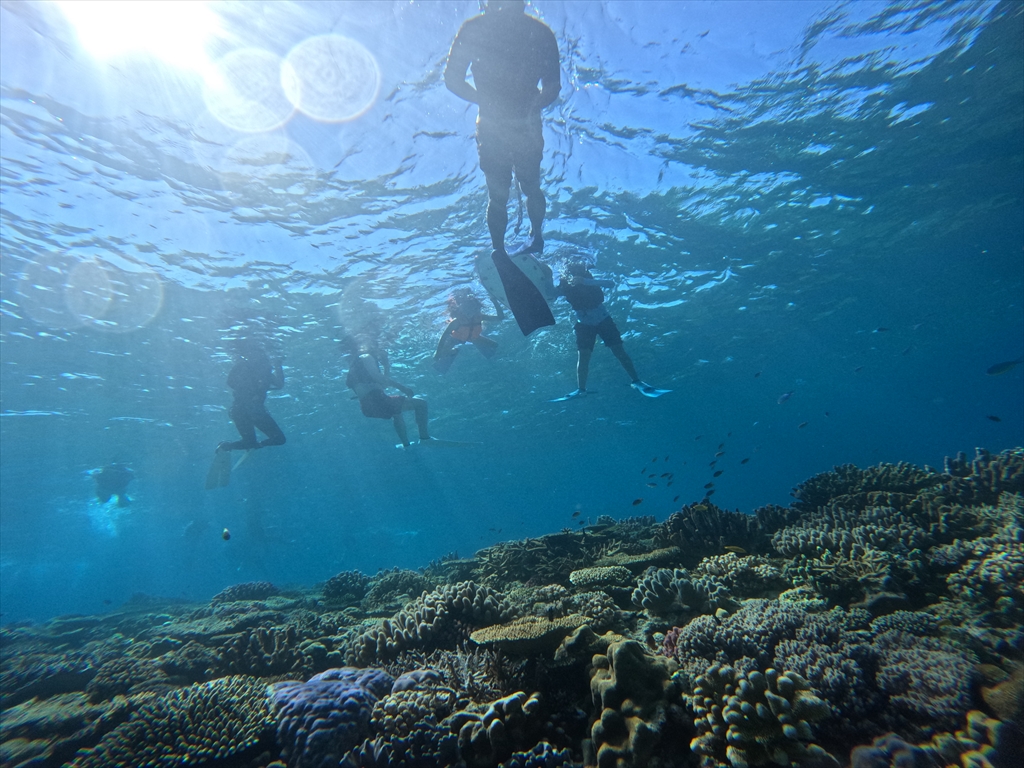 透明度抜群の海でシュノーケル
