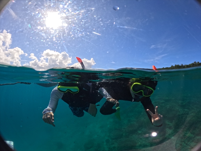 水中世界を間近で見られる感動体験