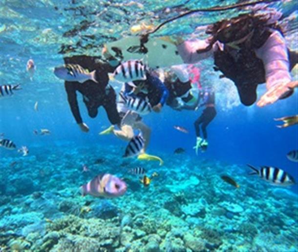 沖縄の海をシュノーケリングで楽しもう