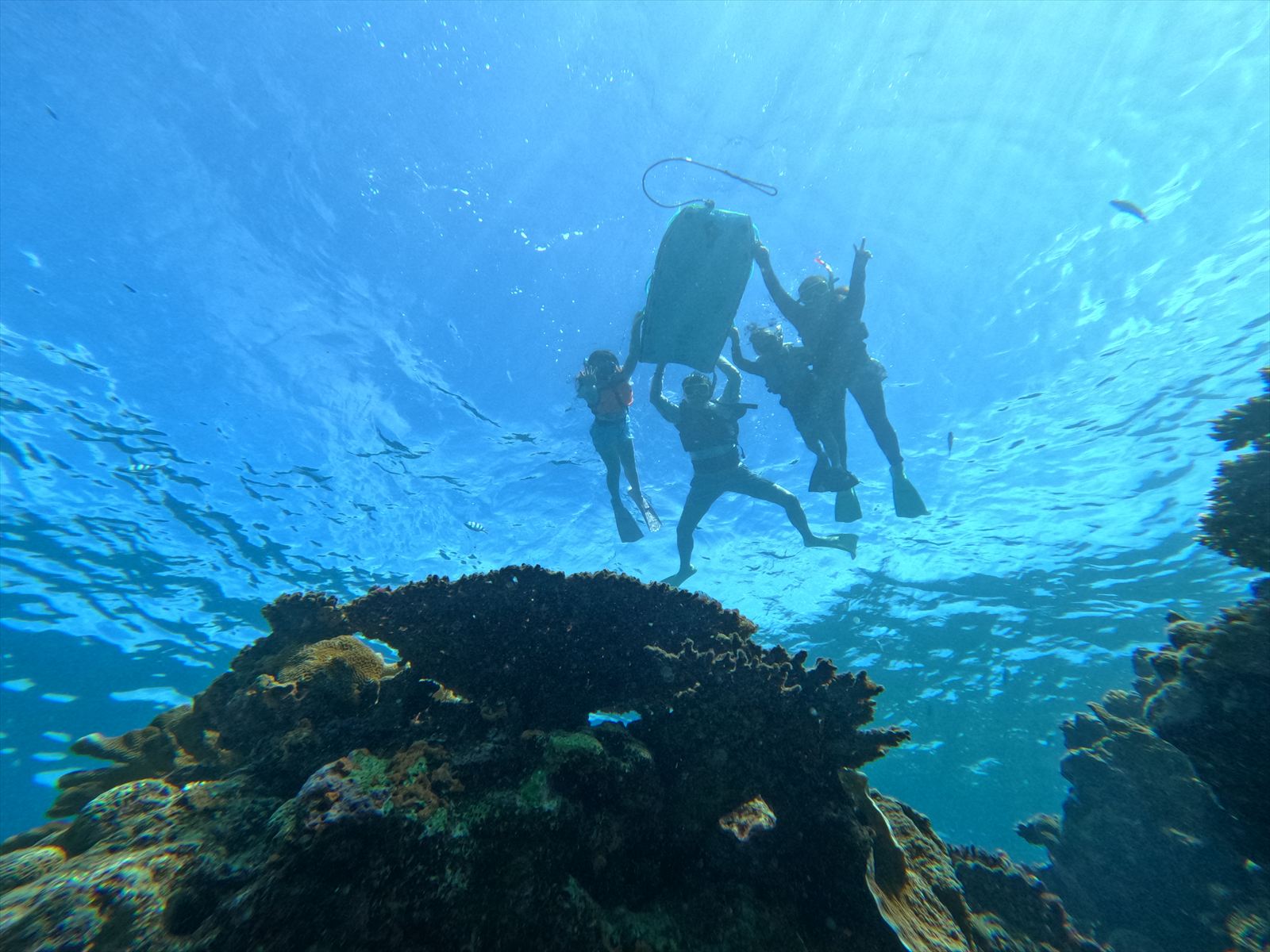 県内トップクラスの透明度♪