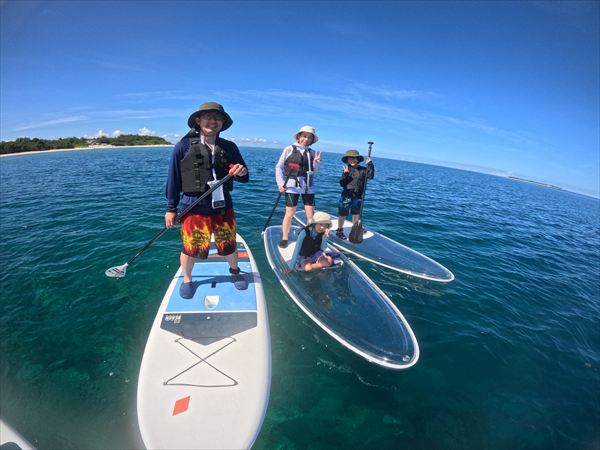 泳がなくても水中の生き物たちを楽しめる