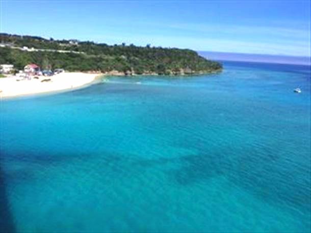 ウミガメに出会える！？