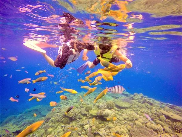 県内屈指の透明度、水納島ブルーの海