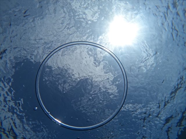 ツアー写真無料ダウンロード付き♪