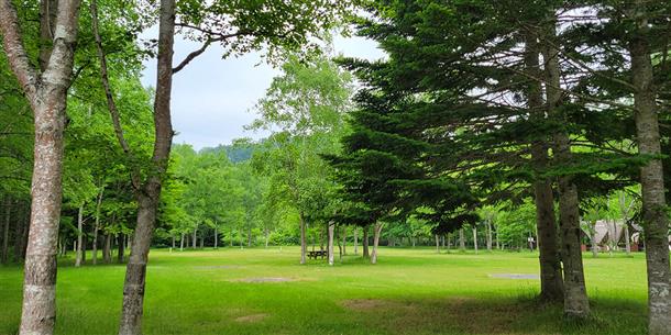 木々に囲まれた第2キャンプ場