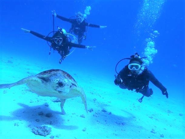 片道15分の楽園「水納島」
