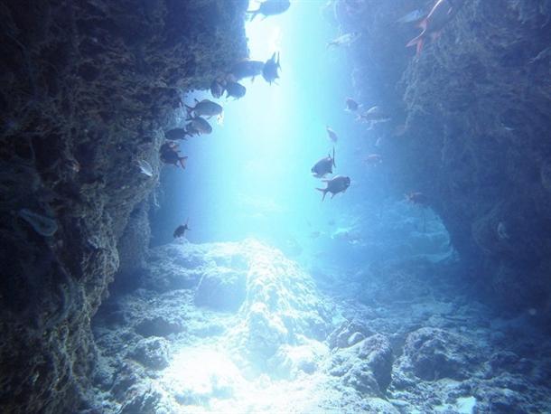 水納島の綺麗な海でファンダイビング