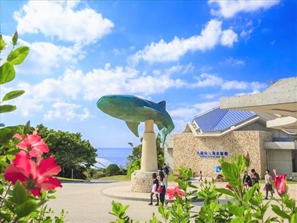 沖縄を代表する観光地☆沖縄美ら海水族館