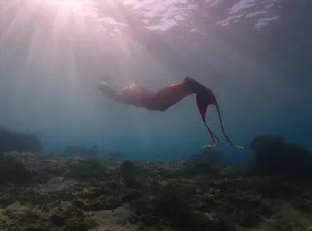 まるで本物の人魚