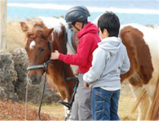 馬とのふれあいは貴重な体験