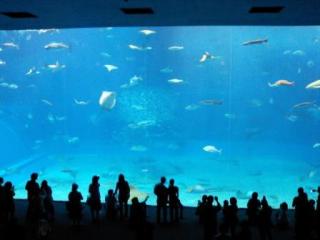 美ら海水族館のメイン広場