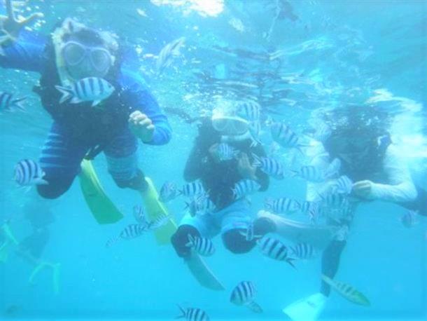 透明度の高い海でシュノーケリング★