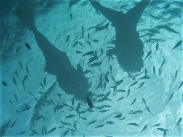 やんばるの海を大満喫してください♪