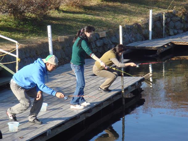 気軽にできる桟橋ワカサギ釣り！