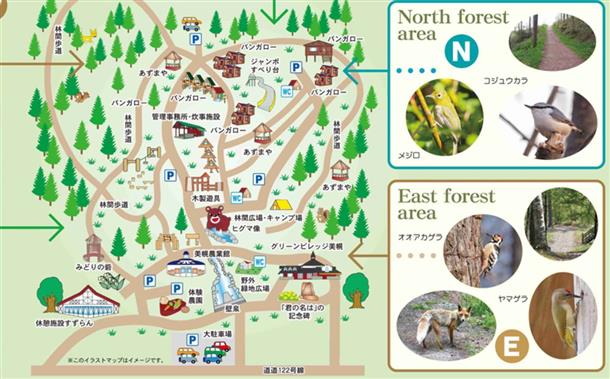 広い公園