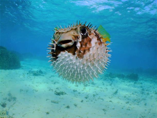 かわいい生き物たちにも出会えるかも！