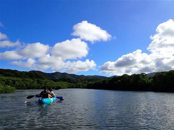 貸切マングローブカヤックツアー体験