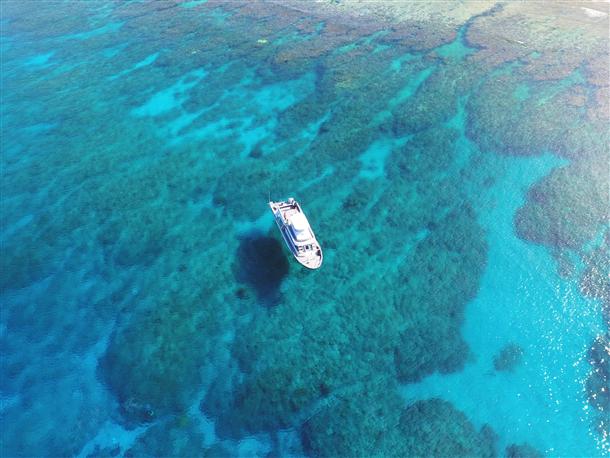 透明度抜群の海