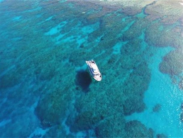 透明度抜群の海