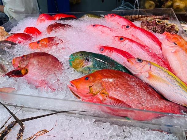 鮮魚店等を見学巡り