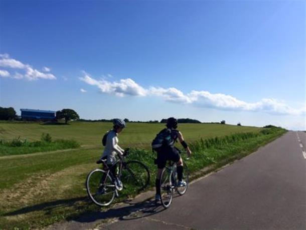 北海道の雄大な農風景をお楽しみください。