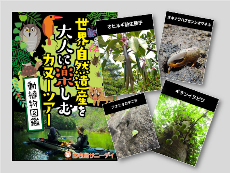 オリジナルガイドブック付き