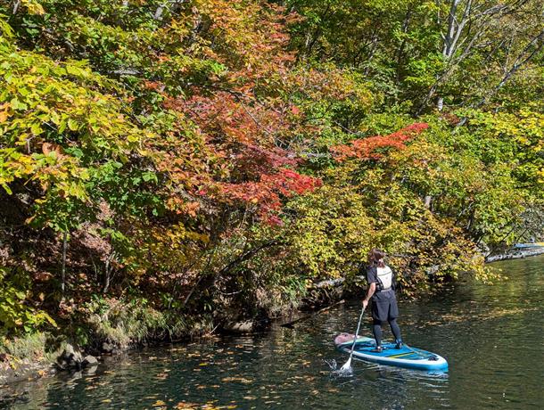 川沿いの林緑も紅葉色に