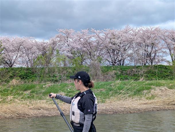 余市川沿いの桜並木を眺めながら♪