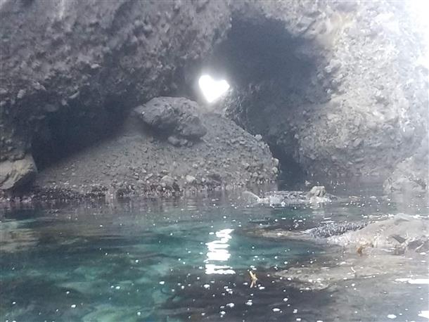 ハートに光ってみえたら幸運が！？