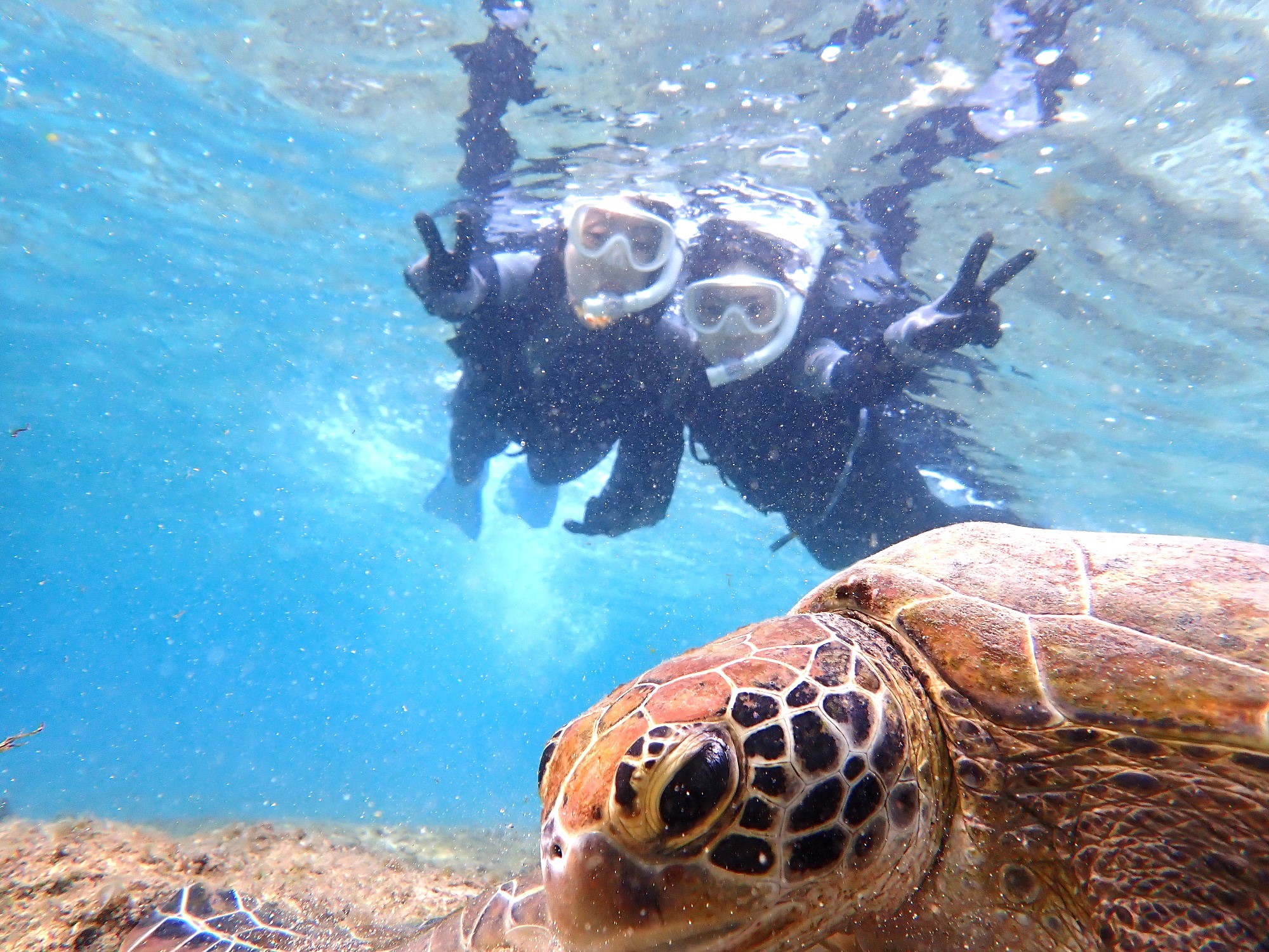 ★初心者向け★天然水族館ツアー