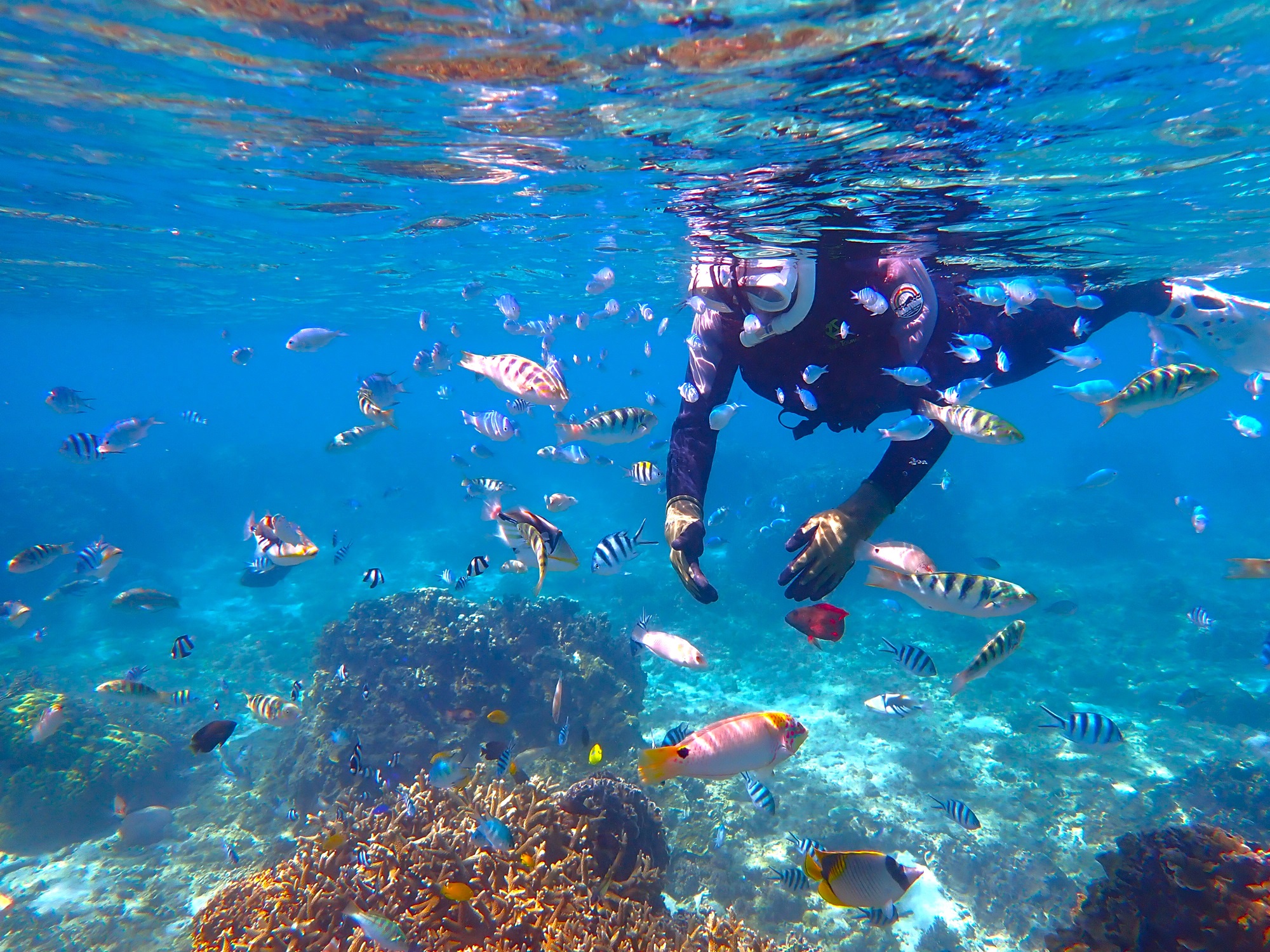 まるで天然の水族館♪