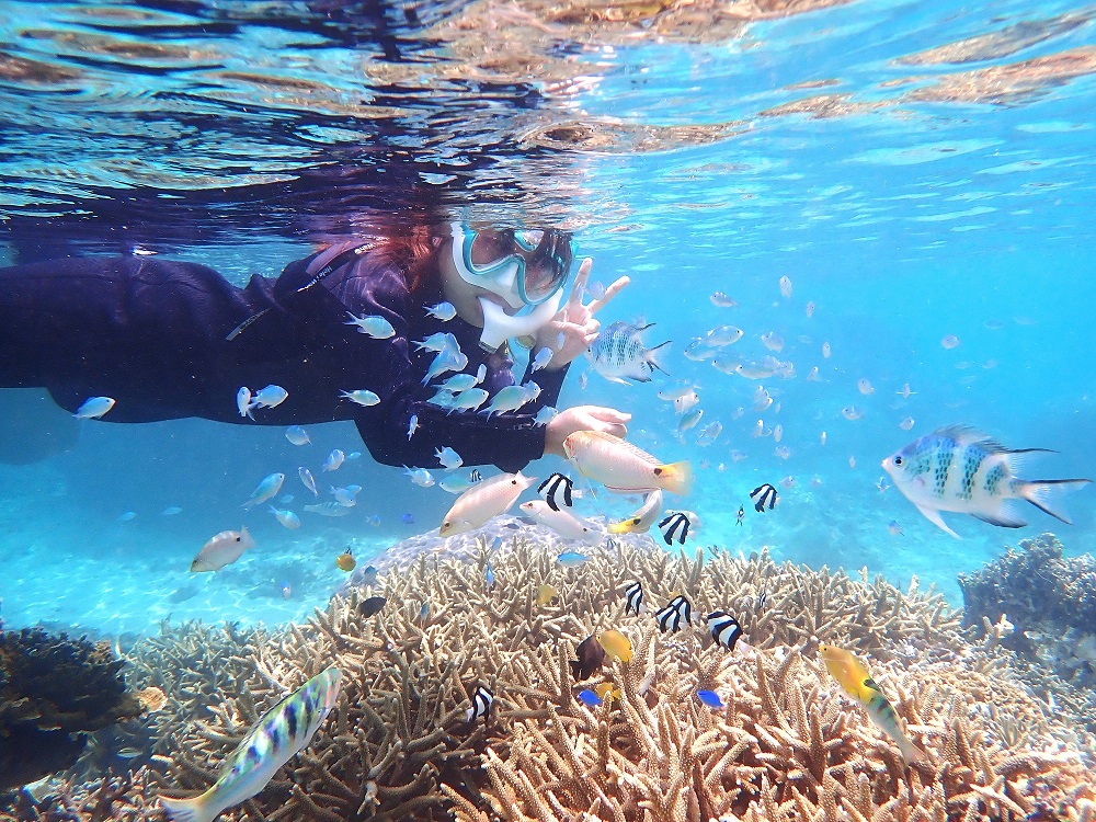 まるで天然の水族館